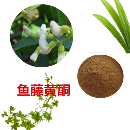 魚藤黃酮40%  魚藤浸膏 魚藤提取物 魚藤提取液