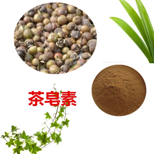 茶皂素40% 茶樹種子提取物  茶樹種子粉   茶樹種子浸膏