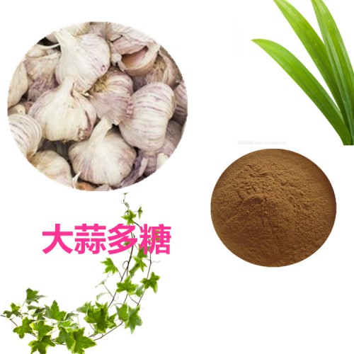 大蒜多糖  大蒜提取物   大蒜粉  大蒜浸膏  大蒜多肽