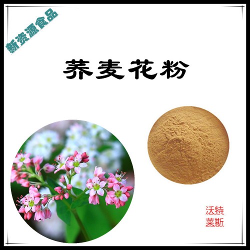 蕎麥花粉 蕎麥花提取物 蕎麥花浸膏 蕎麥花速溶粉