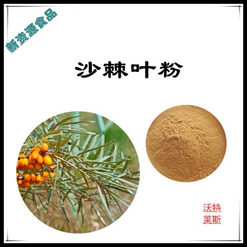沙棘葉粉 沙棘葉提取物 沙棘葉浸膏 沙棘葉速溶粉
