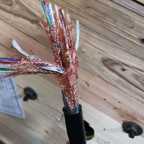 電子計(jì)算機(jī)儀表電纜