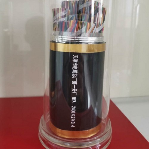 大對(duì)數(shù)電纜 大對(duì)數(shù)通訊電纜 阻燃大對(duì)數(shù)通訊電纜