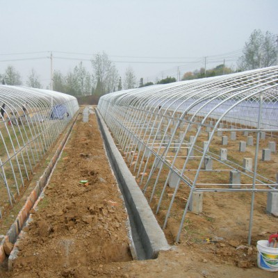 食用菌種植大棚預算造價 溫室鋼架大棚一畝 小拱棚建設