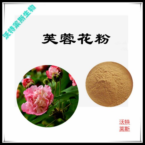 芙蓉花粉 芙蓉花提取物 芙蓉花浸膏  芙蓉花提取液