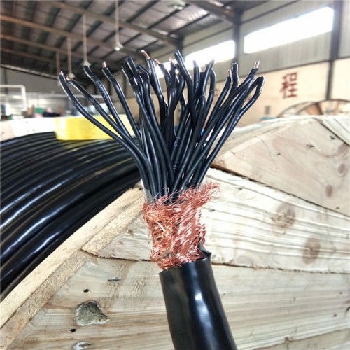 屏蔽控制電纜KVVP、KVVRP