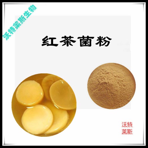 紅茶菌粉 紅茶菌提取物  紅茶菌浸膏 紅茶菌提取液