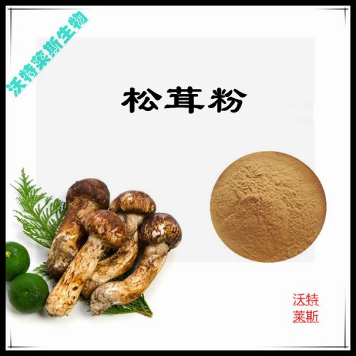 松茸粉 松茸提取物 松茸浸膏 松茸提取液