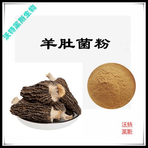 羊肚菌粉 羊肚菌提取物 羊肚菌浸膏 羊肚菌提取液