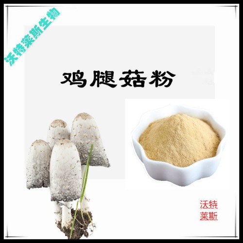 雞腿菇粉 雞腿菇提取物 雞腿菇浸膏 雞腿菇提取液