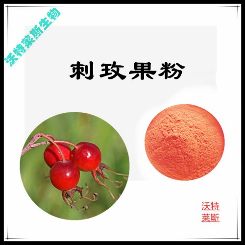 澤蘭粉 澤蘭提取物 澤蘭浸膏  澤蘭提取液