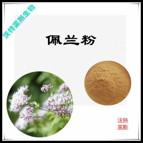 佩蘭粉 佩蘭提取物 佩蘭浸膏 佩蘭提取液