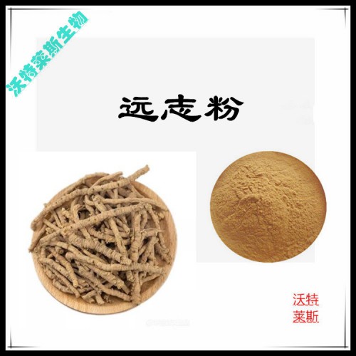 遠志粉 遠志提取物 遠志浸膏 遠志提取液