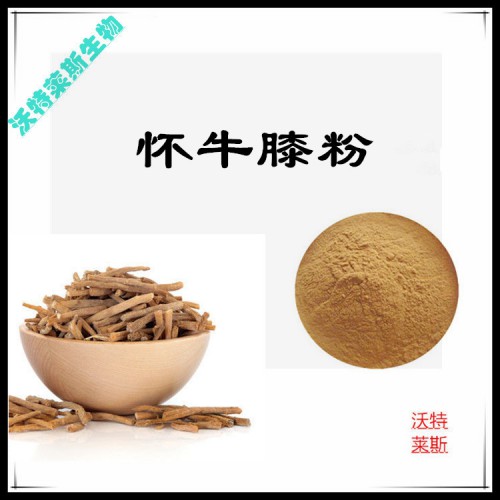 懷牛膝粉 懷牛膝提取物 懷牛膝浸膏 懷牛膝提取液
