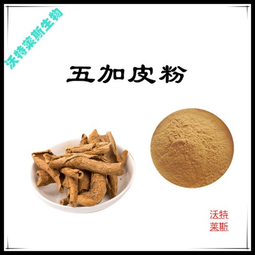 五加皮粉 五加皮提取物  五加皮浸膏  五加皮提取液