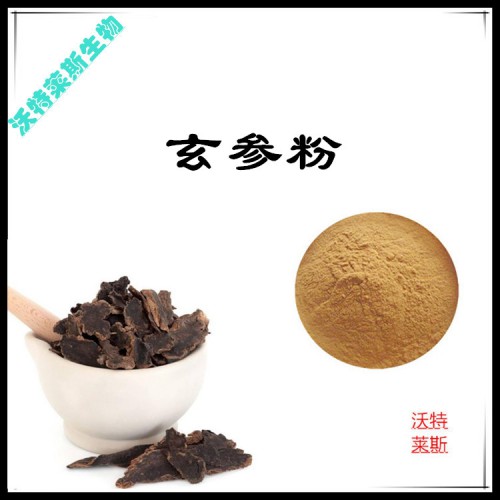 玄參粉  玄參提取物  玄參浸膏 玄參提取液