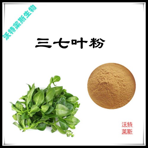 三七葉粉  三七葉提取物 三七葉浸膏 三七葉提取液