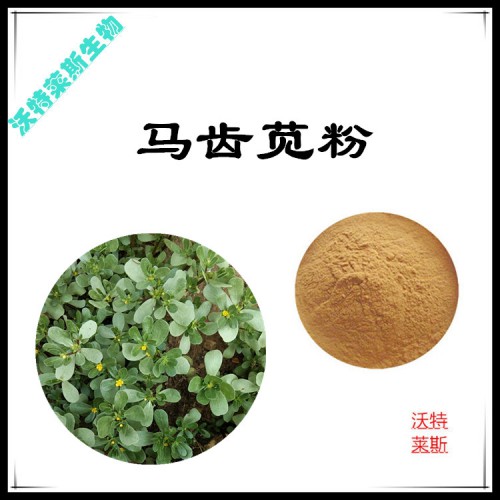 馬齒莧粉 馬齒莧提取物  馬齒莧浸膏 馬齒莧提取液