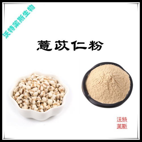 薏苡仁粉  薏苡仁提取物   薏苡仁浸膏  薏苡仁提取液