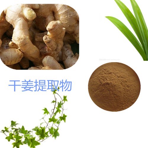 干姜粉 干姜提取物  干姜浸膏 干姜提取液