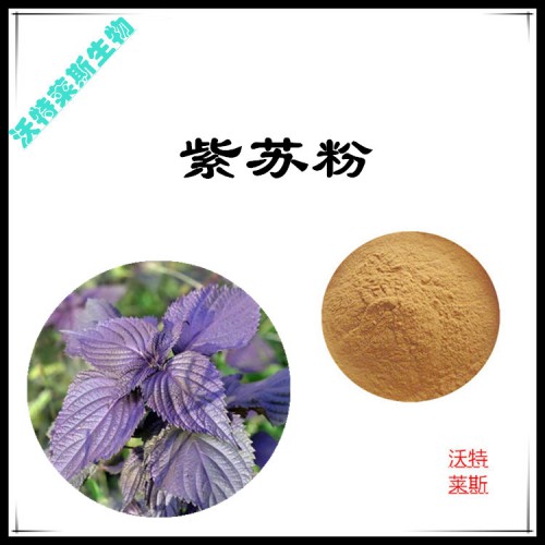 紫蘇粉 紫蘇提取物 紫蘇浸膏 紫蘇提取液