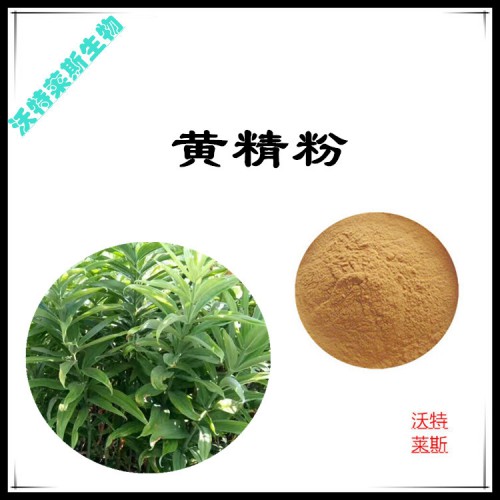 黃精粉 黃精提取物 黃精浸膏 黃精提取液
