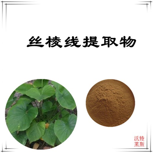 絲棱線粉 絲棱線提取物 絲棱線浸膏 絲棱線提取液