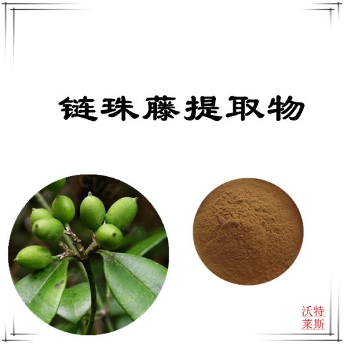 鏈珠藤粉 鏈珠藤提取物 鏈珠藤浸膏 鏈珠藤提取液