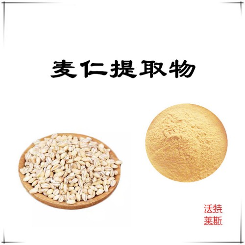 麥仁粉 麥仁提取物 麥仁浸膏 麥仁提取液