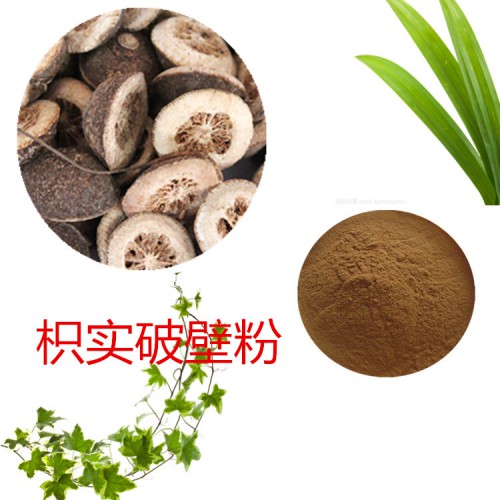 枳實粉  枳實破壁粉 枳實浸膏  枳實提取液