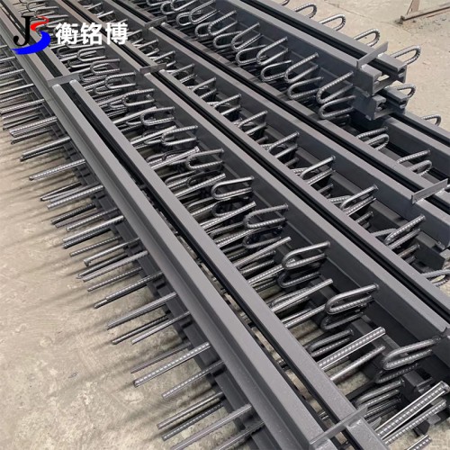 橋梁伸縮縫 公路鍍鋅橋梁伸縮縫
