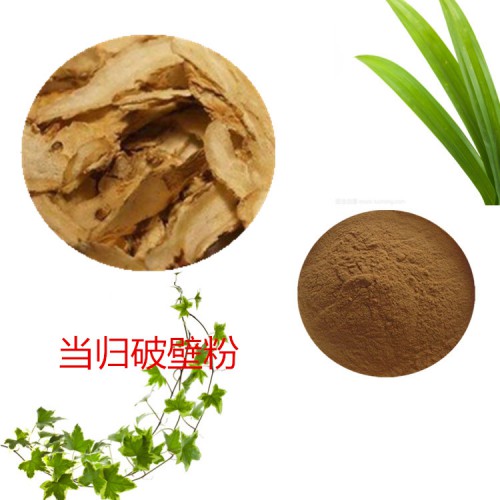 當歸粉 當歸破壁粉 當歸浸膏  當歸提取液