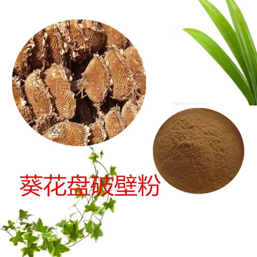 葵花盤粉 葵花盤破壁粉 葵花盤浸膏 葵花盤提取液