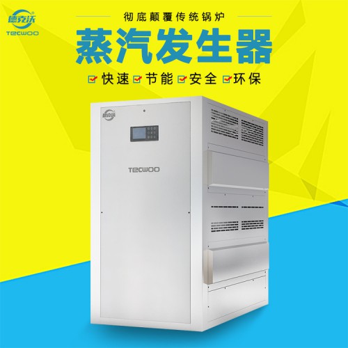 燃氣式蒸汽發生器 蒸汽發生器廠家 燃氣節能蒸汽發生器