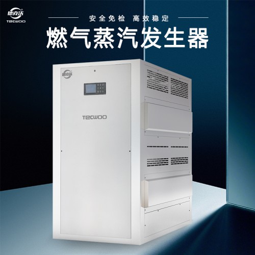 工業燃氣蒸汽發生器 全自動燃氣蒸汽鍋爐 燃氣蒸汽發生器哪家好