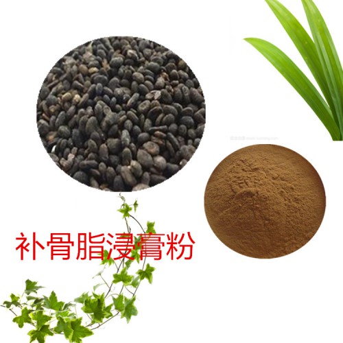 補骨脂速溶粉  補骨脂提取物 補骨脂浸膏 補骨脂浸膏粉