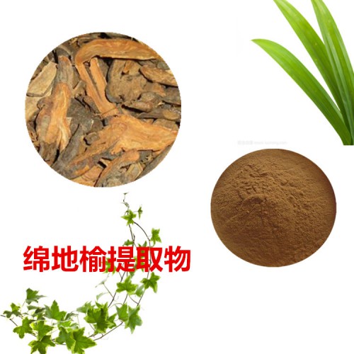 綿地榆速溶粉 綿地榆提取物 綿地榆浸膏 綿地榆浸膏粉