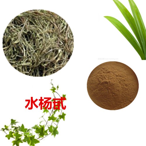 白柳皮提取物 水楊甙/苷 50% 80%