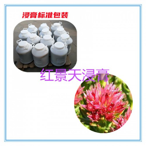 紅景天膏 紅景天提取液 紅景天浸膏粉 紅景天提取物