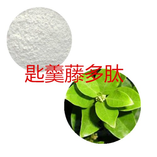 匙羹藤肽粉 匙羹藤小分子肽 匙羹藤蛋白 匙羹藤粉