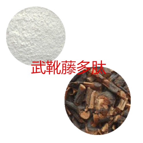 武靴藤肽粉 武靴藤小分子肽 武靴藤蛋白 武靴藤粉