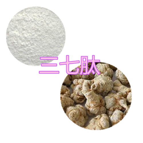三七肽粉 三七小分子肽 三七蛋白 三七粉