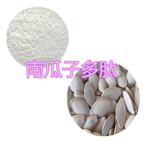 南瓜子肽粉 南瓜子小分子肽 南瓜子蛋白 南瓜子粉
