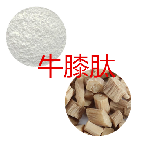 牛膝肽粉 牛膝小分子肽 牛膝蛋白 牛膝粉