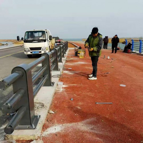 橋梁護欄 橋梁防撞護欄 不銹鋼橋梁護欄