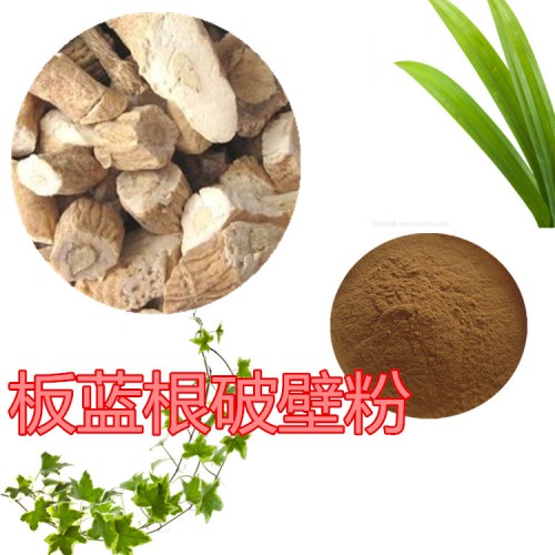 板藍根提取物  板藍根浸膏   板藍根破壁粉 板藍根提取液