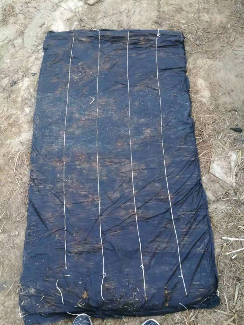 微信圖片_20211022144233