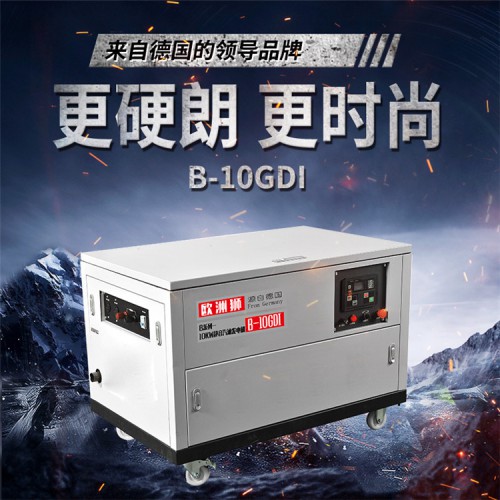 雙缸10kw汽油發(fā)電機 歐洲獅動力B-10GDI