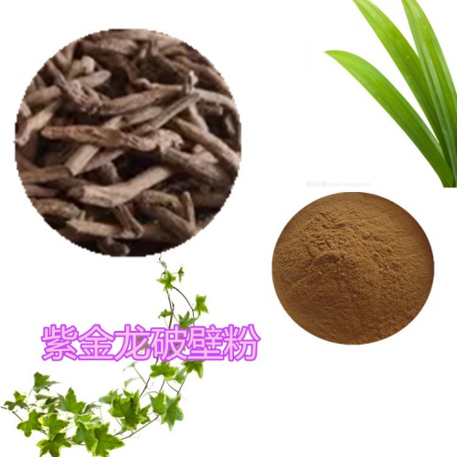紫金龍破壁粉 紫金龍提取物  紫金龍粉  紫金龍浸膏