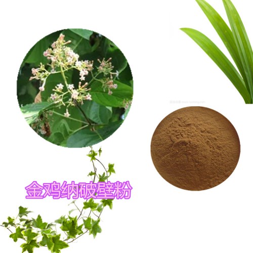 金雞納破壁粉  金雞納提取物  金雞納粉  金雞納浸膏